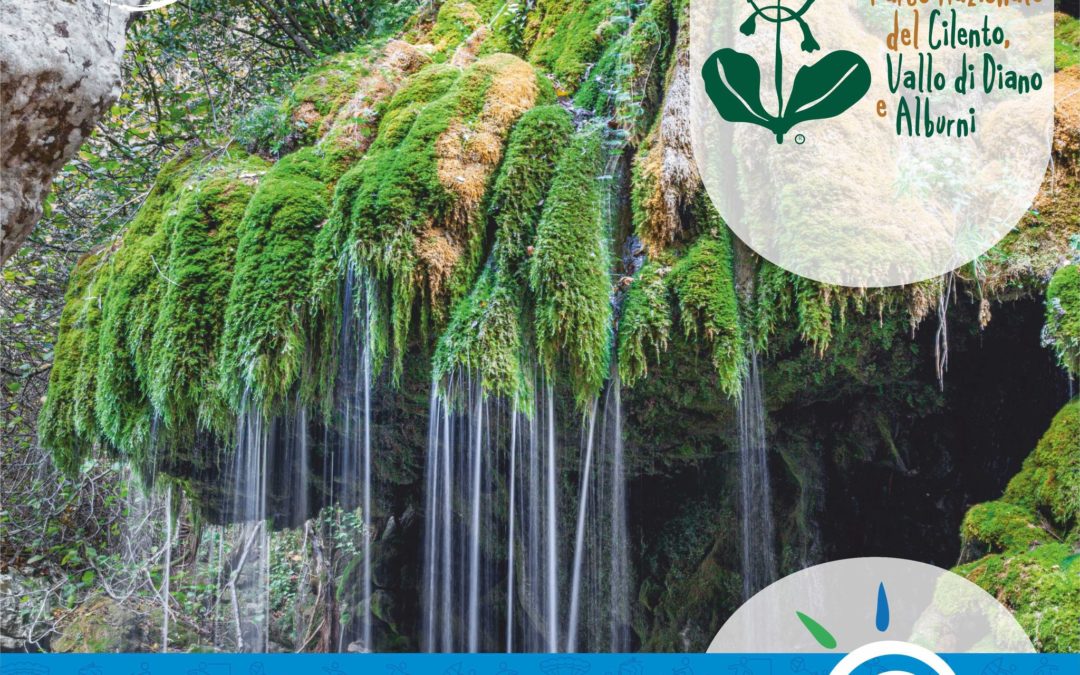 L’Ente Parco Nazionale del Cilento, Vallo di Diano e Alburni riconferma la collaborazione per OPEN 2024